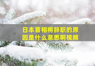 日本首相将辞职的原因是什么意思啊视频