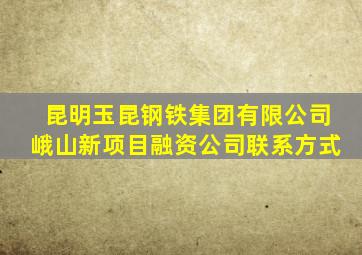 昆明玉昆钢铁集团有限公司峨山新项目融资公司联系方式