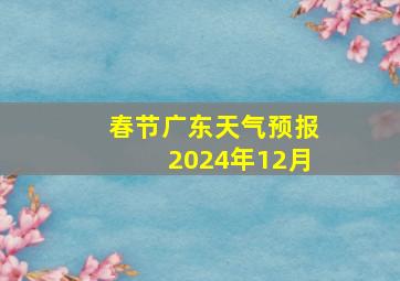 春节广东天气预报2024年12月