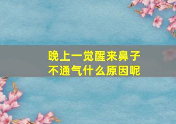 晚上一觉醒来鼻子不通气什么原因呢