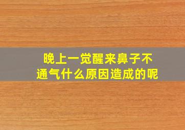 晚上一觉醒来鼻子不通气什么原因造成的呢