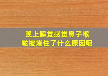 晚上睡觉感觉鼻子喉咙被堵住了什么原因呢