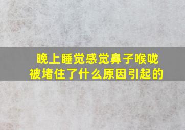 晚上睡觉感觉鼻子喉咙被堵住了什么原因引起的