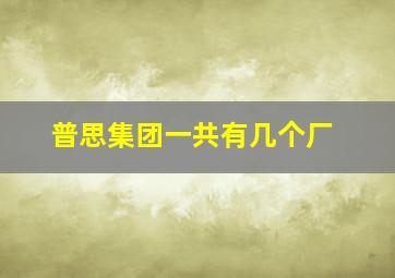 普思集团一共有几个厂