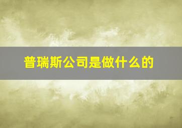 普瑞斯公司是做什么的