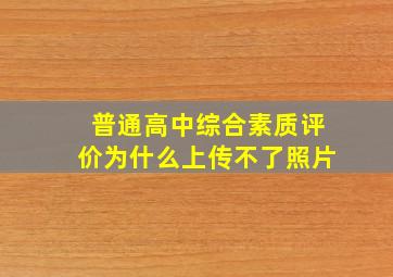 普通高中综合素质评价为什么上传不了照片