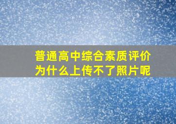 普通高中综合素质评价为什么上传不了照片呢