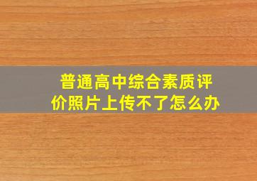 普通高中综合素质评价照片上传不了怎么办