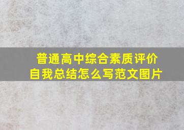 普通高中综合素质评价自我总结怎么写范文图片