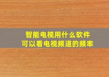 智能电视用什么软件可以看电视频道的频率