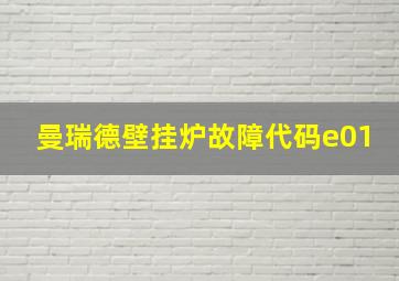 曼瑞德壁挂炉故障代码e01