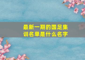 最新一期的国足集训名单是什么名字