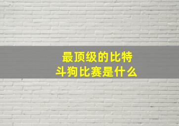 最顶级的比特斗狗比赛是什么