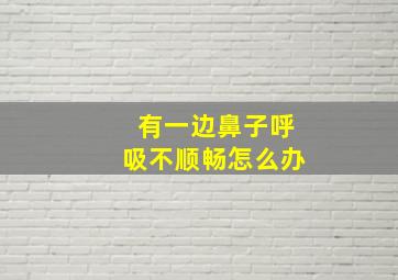 有一边鼻子呼吸不顺畅怎么办