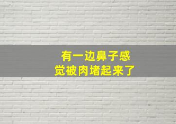 有一边鼻子感觉被肉堵起来了