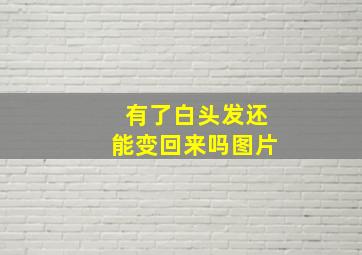 有了白头发还能变回来吗图片