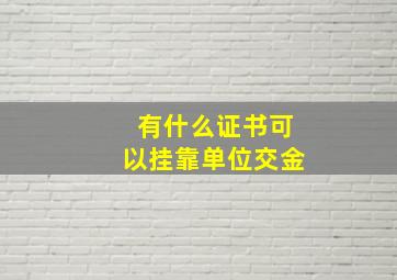 有什么证书可以挂靠单位交金