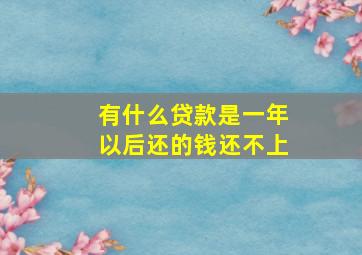 有什么贷款是一年以后还的钱还不上