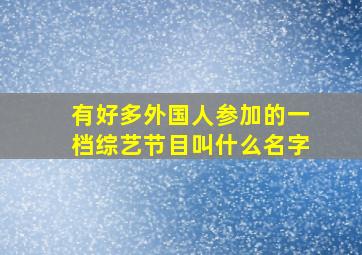 有好多外国人参加的一档综艺节目叫什么名字