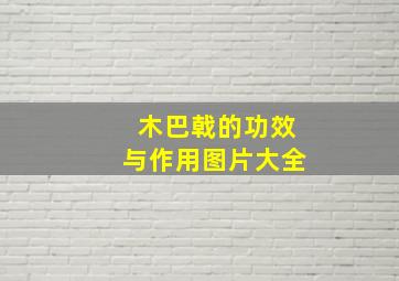 木巴戟的功效与作用图片大全