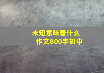 未知意味着什么作文800字初中