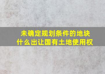 未确定规划条件的地块什么出让国有土地使用权