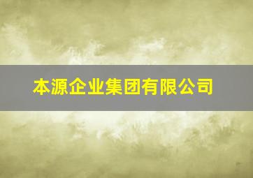 本源企业集团有限公司