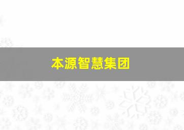 本源智慧集团