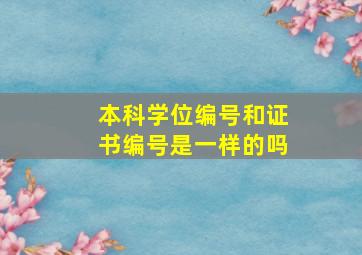 本科学位编号和证书编号是一样的吗