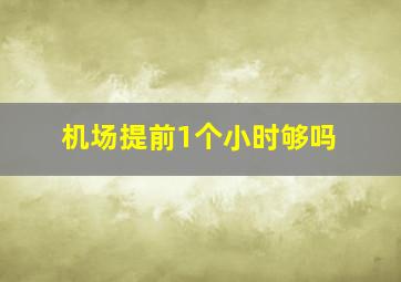 机场提前1个小时够吗