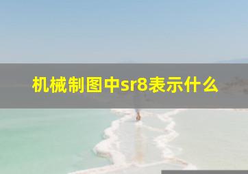 机械制图中sr8表示什么