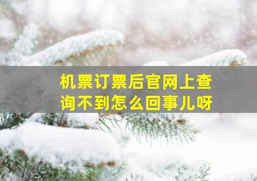 机票订票后官网上查询不到怎么回事儿呀