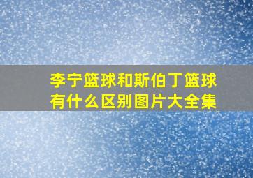 李宁篮球和斯伯丁篮球有什么区别图片大全集