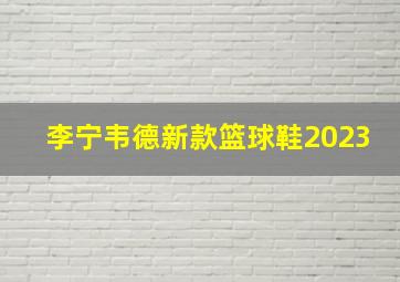 李宁韦德新款篮球鞋2023