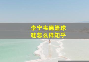 李宁韦德篮球鞋怎么样知乎