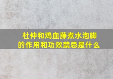 杜仲和鸡血藤煮水泡脚的作用和功效禁忌是什么