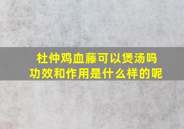 杜仲鸡血藤可以煲汤吗功效和作用是什么样的呢