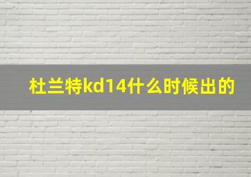 杜兰特kd14什么时候出的