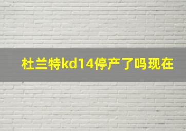 杜兰特kd14停产了吗现在