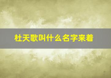 杜天歌叫什么名字来着