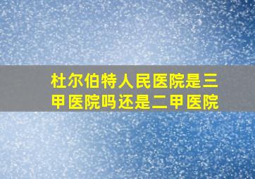 杜尔伯特人民医院是三甲医院吗还是二甲医院