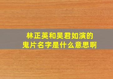 林正英和吴君如演的鬼片名字是什么意思啊