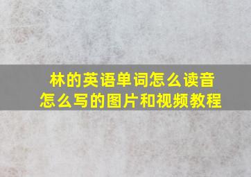 林的英语单词怎么读音怎么写的图片和视频教程