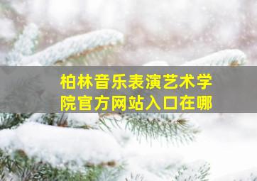 柏林音乐表演艺术学院官方网站入口在哪