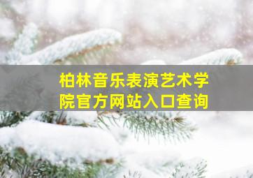 柏林音乐表演艺术学院官方网站入口查询