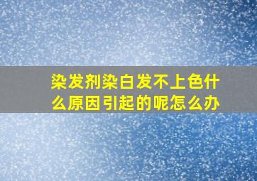 染发剂染白发不上色什么原因引起的呢怎么办