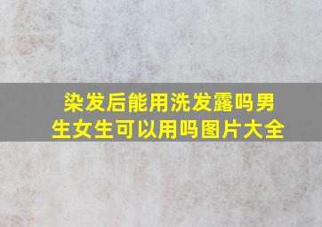 染发后能用洗发露吗男生女生可以用吗图片大全