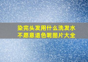 染完头发用什么洗发水不愿意退色呢图片大全