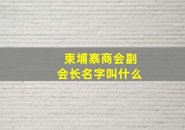 柬埔寨商会副会长名字叫什么