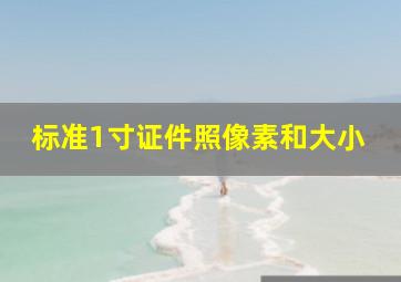 标准1寸证件照像素和大小